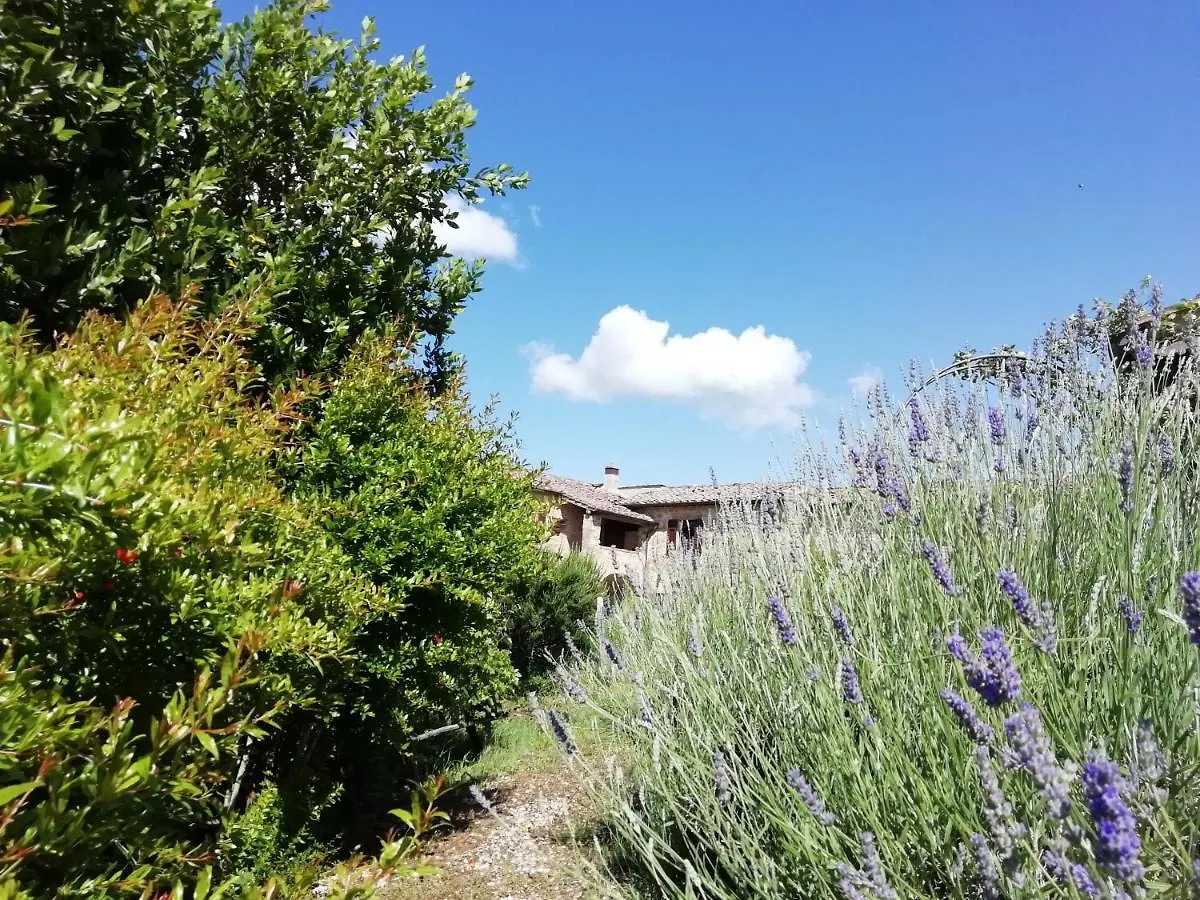 Casole dʼElsa Agriturismo Gli Arcangeli 0*, Casole dʼElsa